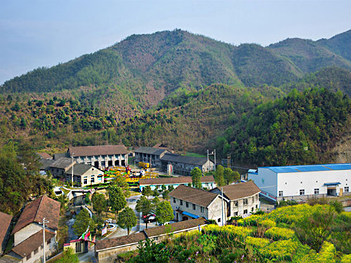 热烈祝贺开云电子正式上线！